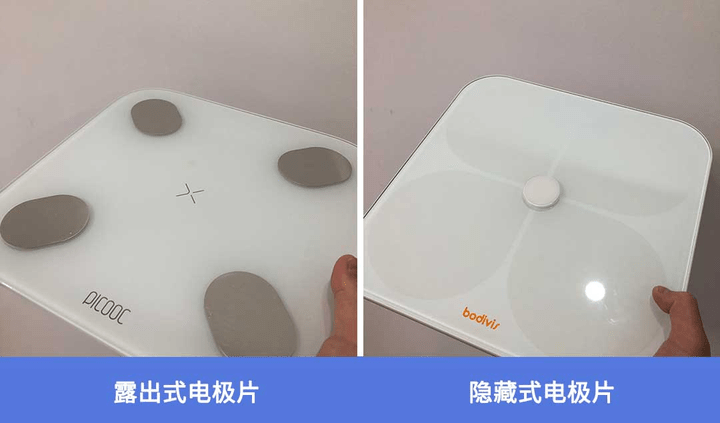 磅揭晓！体脂秤真是智商税？怎么选看这一篇就够了!PG麻将胡了免费模拟器2023年6款体脂秤评测重(图5)