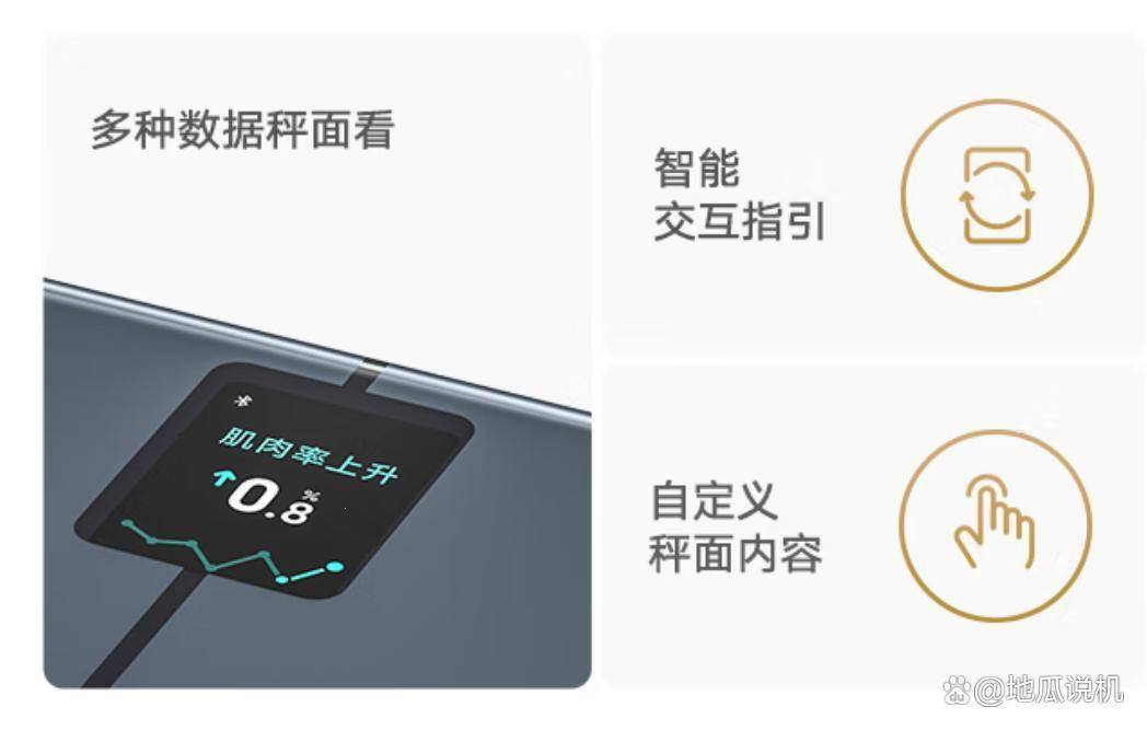 怎么选？这款米家新品闭眼入！麻将胡了试玩